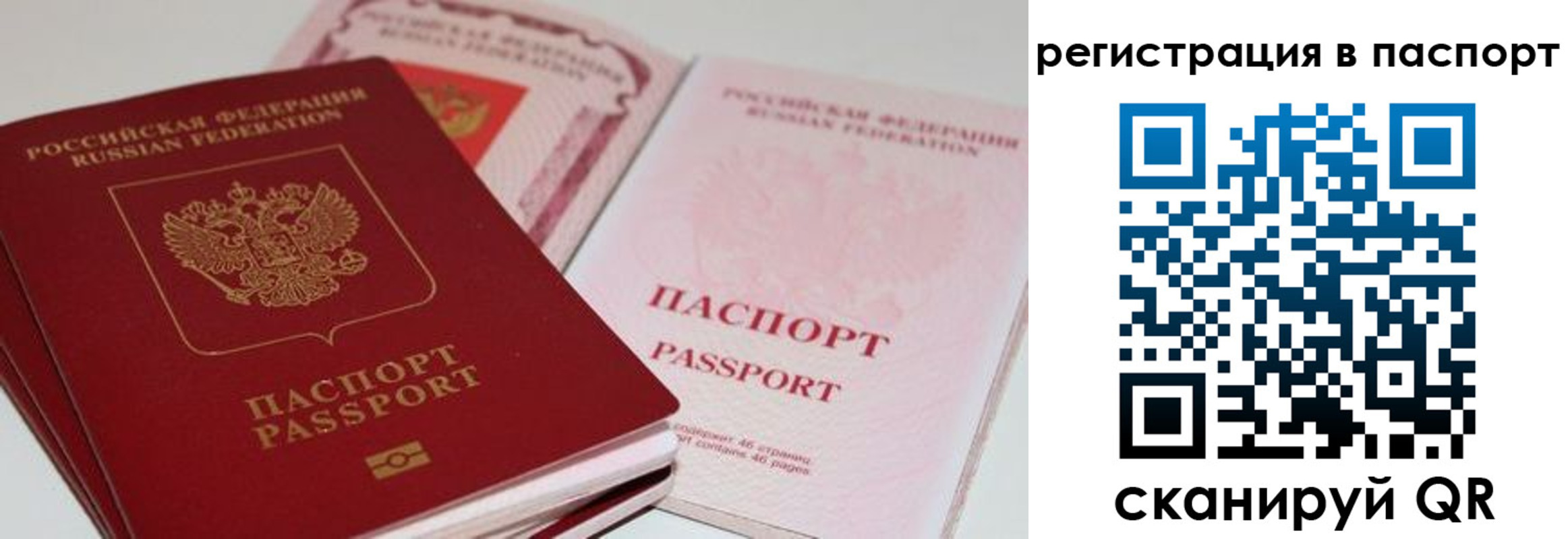 найти адрес прописки в Владимирской области